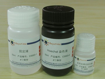 质粒抽提/DNA纯化胶回收/基因组DNA抽提产品目录